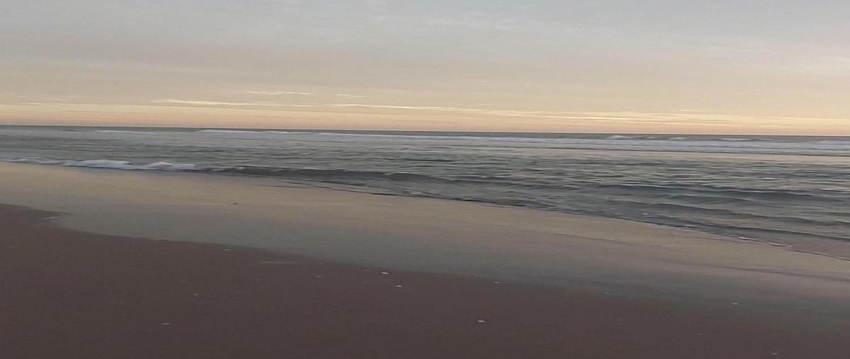 Foto de terreno habitacional en carretera barrón , isla de la piedra, mazatlán, sinaloa, 29539204 foto 01 Foto de terreno habitacional en venta en carretera barrón , isla de la piedra, mazatlán, sinaloa, 29539204 No. 01