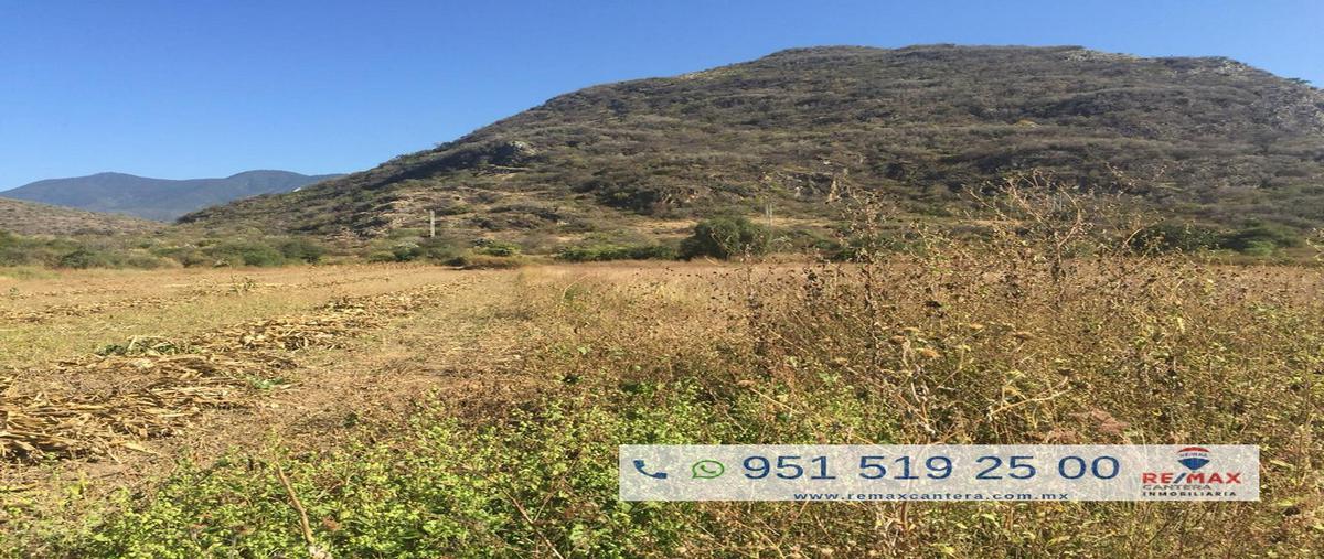Foto de terreno habitacional en venta en carretera benito juarez , macuilxochitl de artigas carranza, san jerónimo tlacochahuaya, oaxaca, 10322048 No. 03