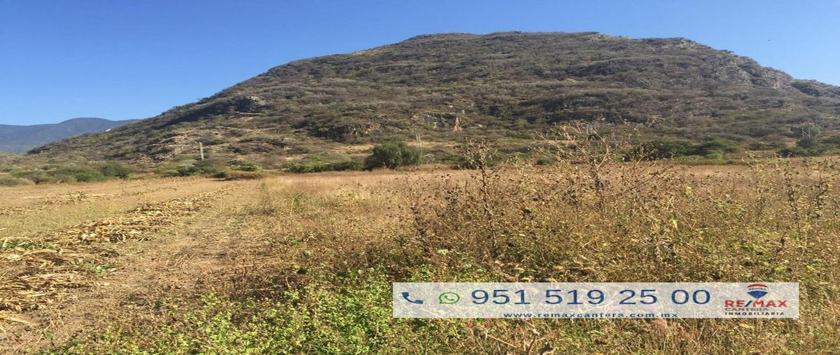 Foto de terreno habitacional en venta en carretera benito juarez , macuilxochitl de artigas carranza, san jerónimo tlacochahuaya, oaxaca, 10322048 No. 04