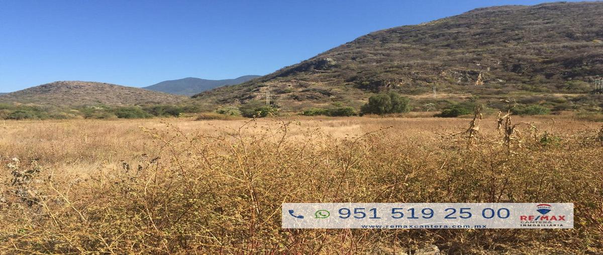 Foto de terreno habitacional en venta en carretera benito juarez , macuilxochitl de artigas carranza, san jerónimo tlacochahuaya, oaxaca, 10322048 No. 05