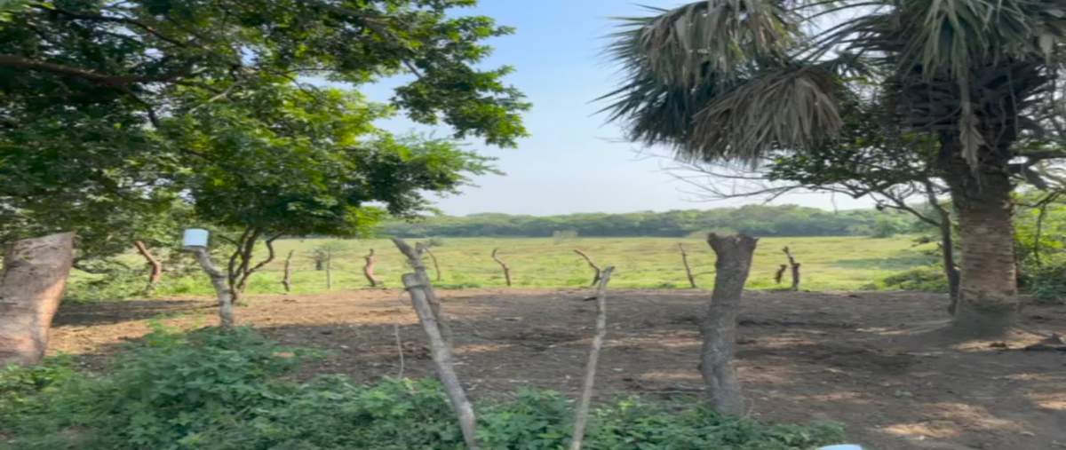Foto de terreno comercial en venta en carretera boca del río antonlizardo , anton lizardo, alvarado, veracruz de ignacio de la llave, 0 No. 05