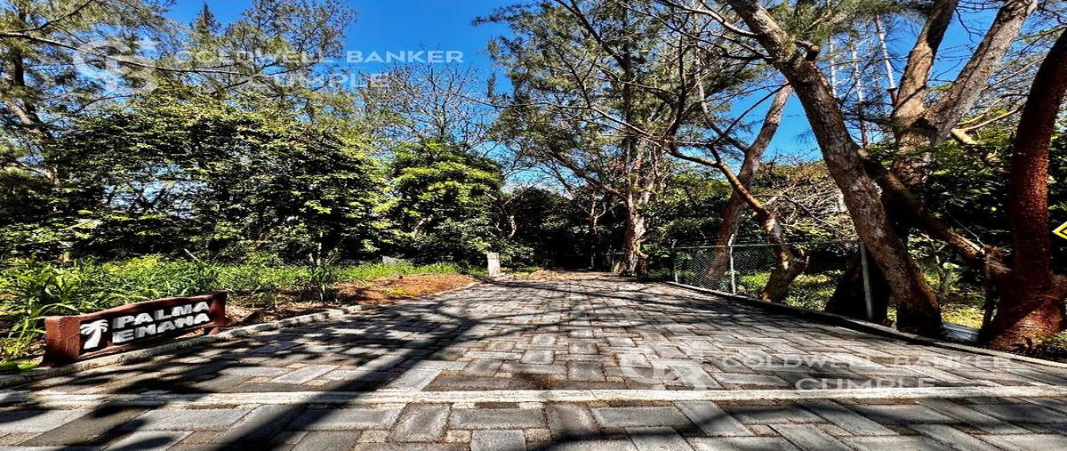 Foto de terreno habitacional en venta en carretera boca del río-antón lizardo kilometro 8.5 610, anton lizardo, alvarado, veracruz de ignacio de la llave, 0 No. 05