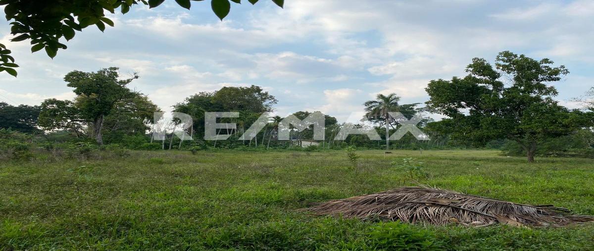 Foto de terreno habitacional en carretera buena vista- rio viejo , buena vista río nuevo 2a sección, centro, tabasco, 0 foto 03 Foto de terreno habitacional en venta en carretera buena vista- rio viejo , buena vista río nuevo 2a sección, centro, tabasco, 0 No. 03