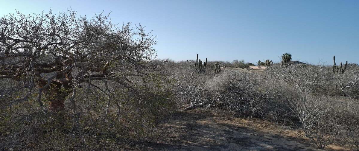 Foto de terreno habitacional en venta en carretera cabo san lucas - todos santos , brisas del pacifico, los cabos, baja california sur, 0 No. 03