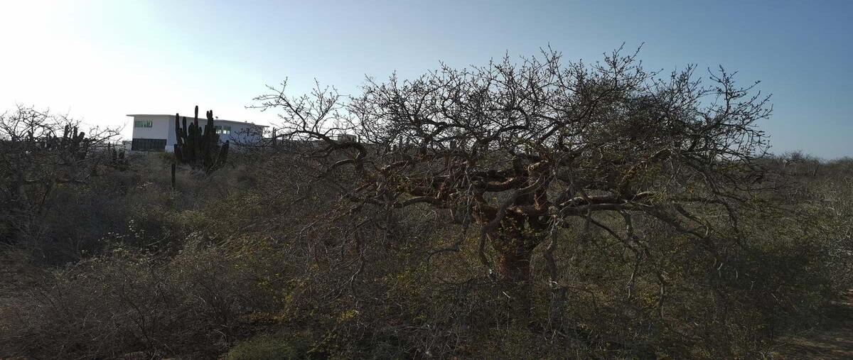 Foto de terreno habitacional en venta en carretera cabo san lucas - todos santos , brisas del pacifico, los cabos, baja california sur, 0 No. 04
