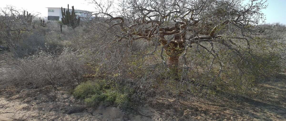 Foto de terreno habitacional en venta en carretera cabo san lucas - todos santos , brisas del pacifico, los cabos, baja california sur, 0 No. 05