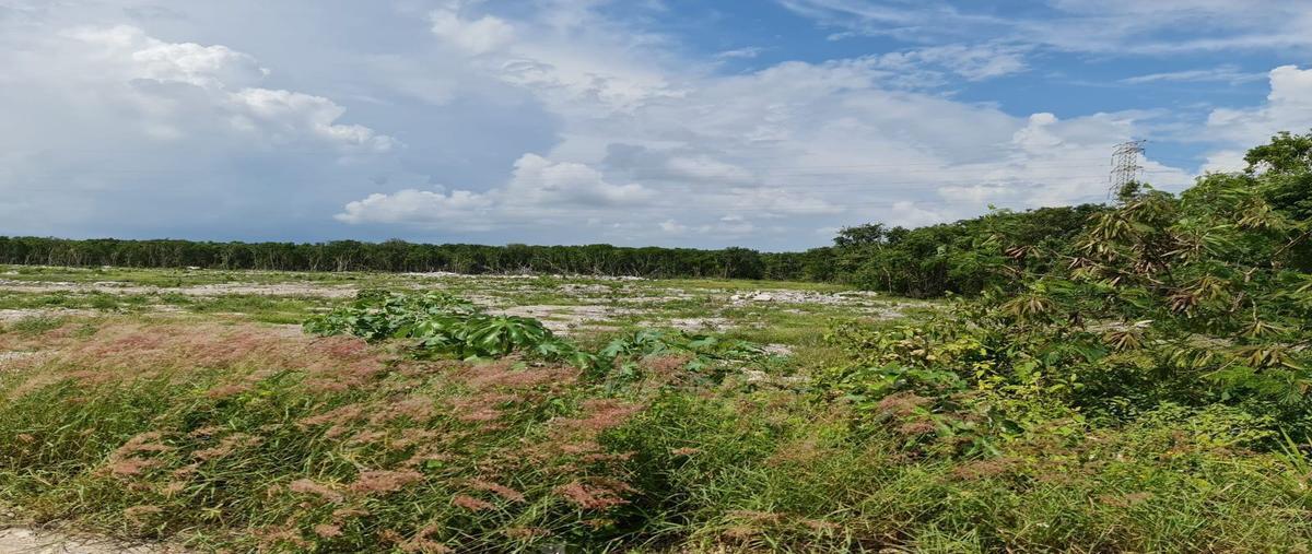 Foto de terreno habitacional en carretera cancun chetumal kilometro 307 , punta chenyunyun, solidaridad, quintana roo, 25309123 foto 03 Foto de terreno habitacional en venta en carretera cancun chetumal kilometro 307 , punta chenyunyun, solidaridad, quintana roo, 25309123 No. 03