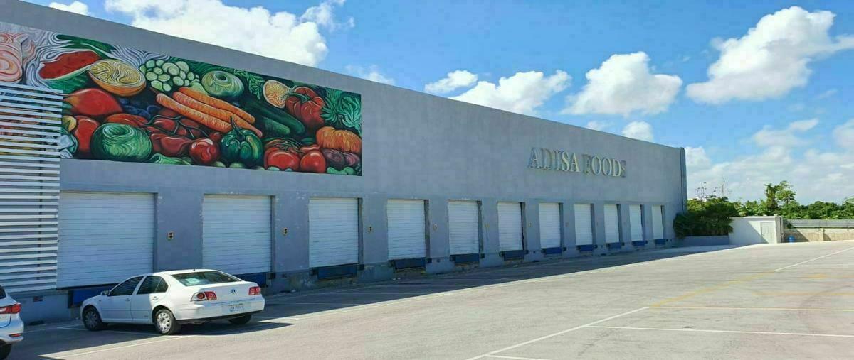 Foto de bodega en carretera cancún - puerto morelos kilometro 21 , cancún centro, benito juárez, quintana roo, 26880333 foto 01 Foto de bodega en venta en carretera cancún - puerto morelos kilometro 21 , cancún centro, benito juárez, quintana roo, 26880333 No. 01