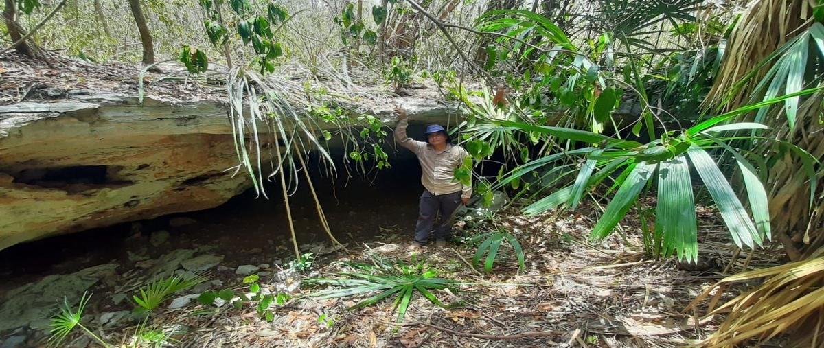 Foto de terreno habitacional en venta en carretera cancún - puerto morelos , puerto morelos, benito juárez, quintana roo, 0 No. 03