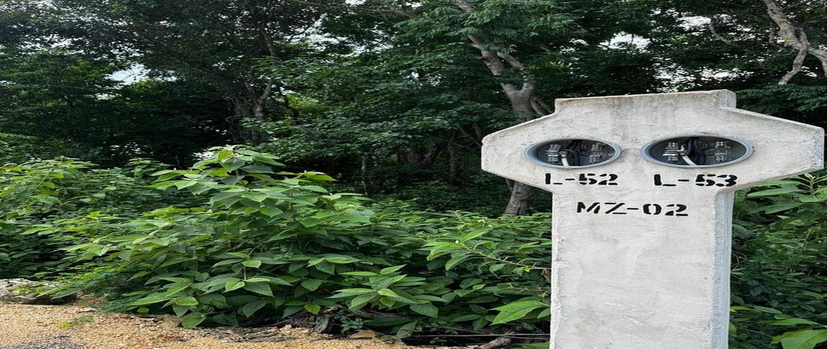 Foto de terreno habitacional en carretera cancun tulum , xpu ha, solidaridad, quintana roo, 0 foto 01 Foto de terreno habitacional en venta en carretera cancun tulum , xpu ha, solidaridad, quintana roo, 0 No. 01