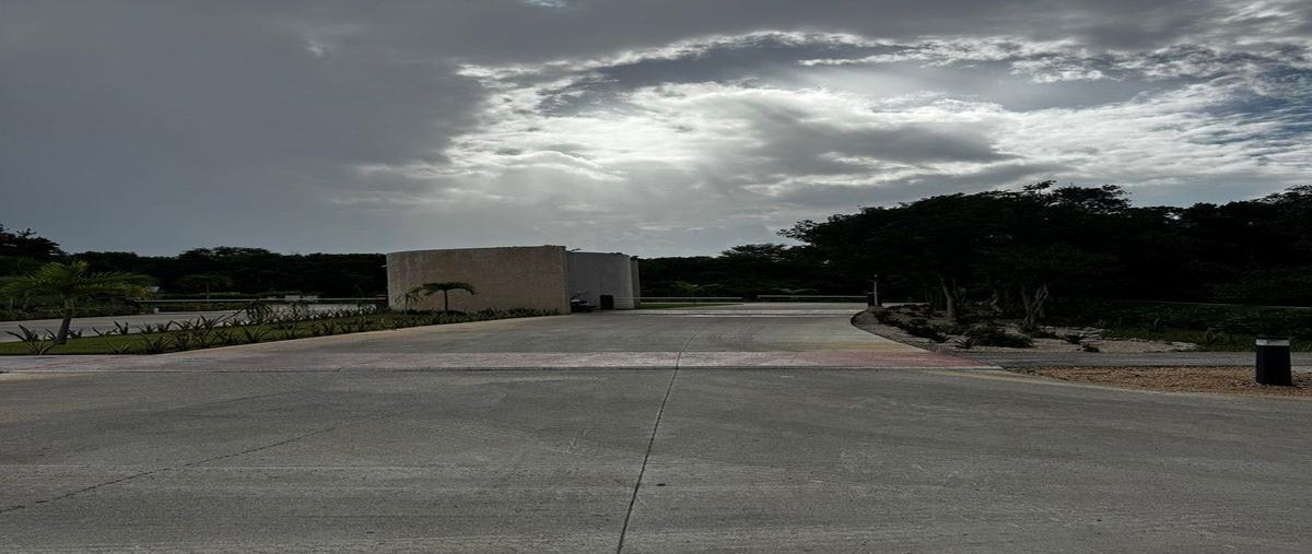 Foto de terreno habitacional en carretera cancun tulum , xpu ha, solidaridad, quintana roo, 0 foto 04 Foto de terreno habitacional en venta en carretera cancun tulum , xpu ha, solidaridad, quintana roo, 0 No. 04