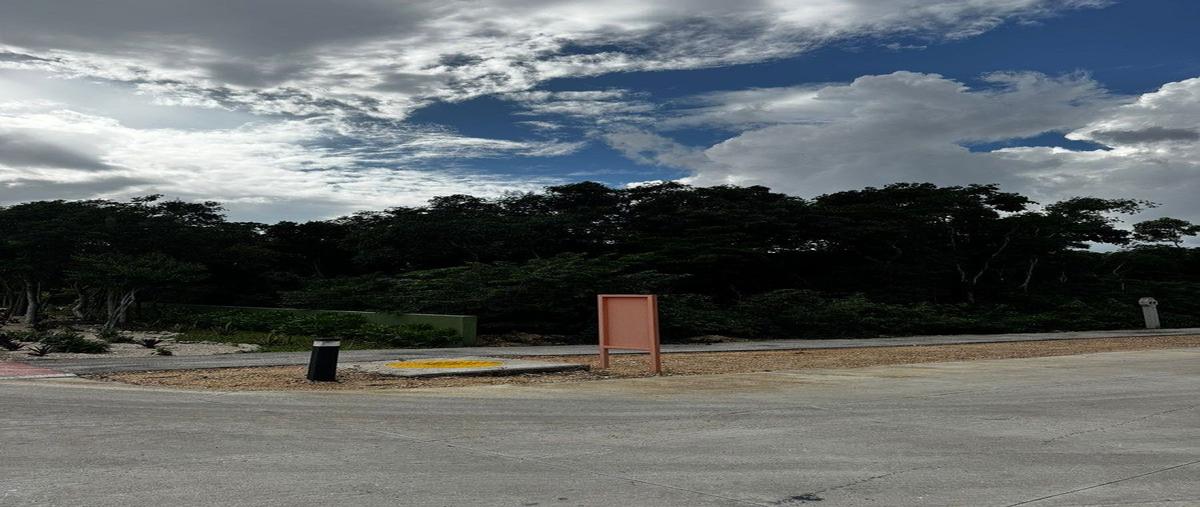 Foto de terreno habitacional en carretera cancun tulum , xpu ha, solidaridad, quintana roo, 0 foto 05 Foto de terreno habitacional en venta en carretera cancun tulum , xpu ha, solidaridad, quintana roo, 0 No. 05