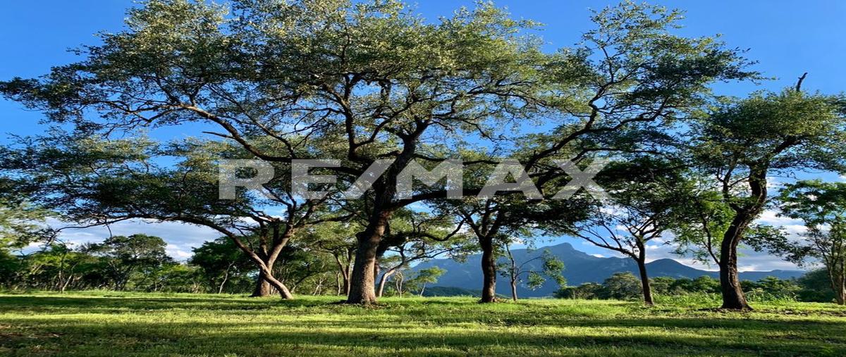 Foto de terreno habitacional en venta en carretera , canoas, montemorelos, nuevo león, 24790553 No. 03