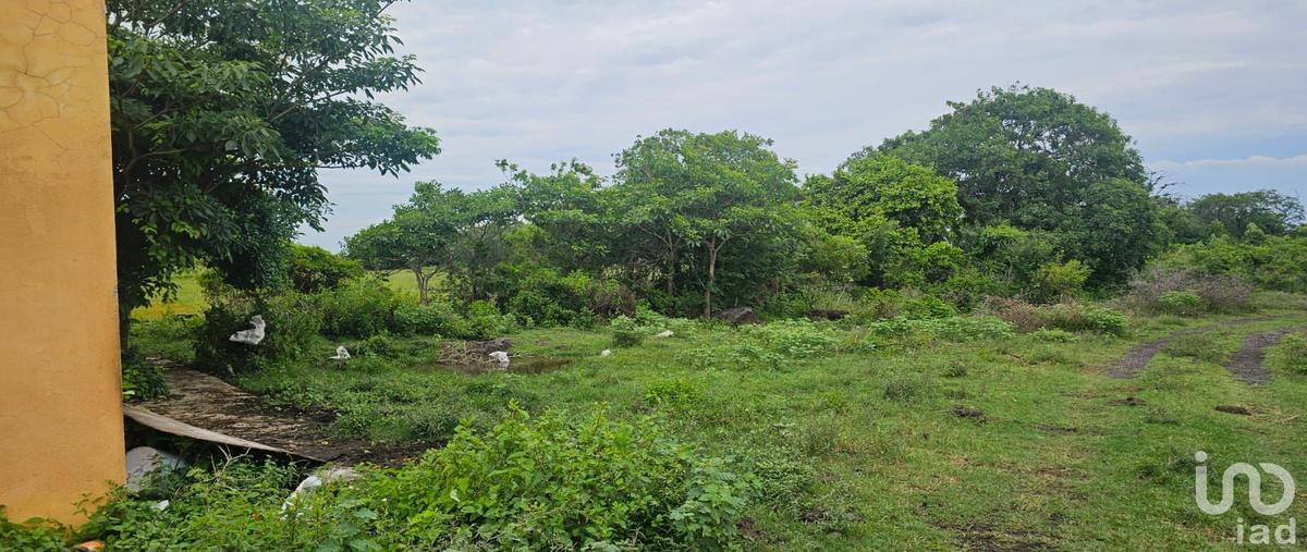 Foto de terreno habitacional en carretera cardel-nautla , laguna verde (campamento de supervisores), alto lucero de gutiérrez barrios, veracruz de ignacio de la llave, 29709292 foto 05 Foto de terreno habitacional en venta en carretera cardel-nautla , laguna verde (campamento de supervisores), alto lucero de gutiérrez barrios, veracruz de ignacio de la llave, 29709292 No. 05
