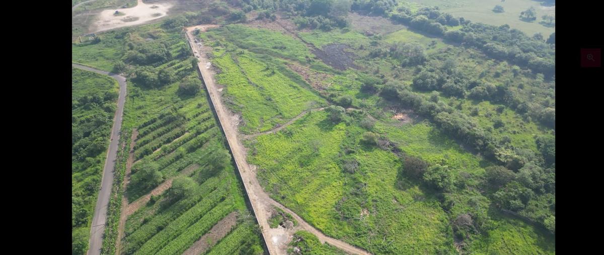 Foto de terreno comercial en venta en carretera cardenas km9 , cárdenas centro, cárdenas, tabasco, 30034561 No. 05