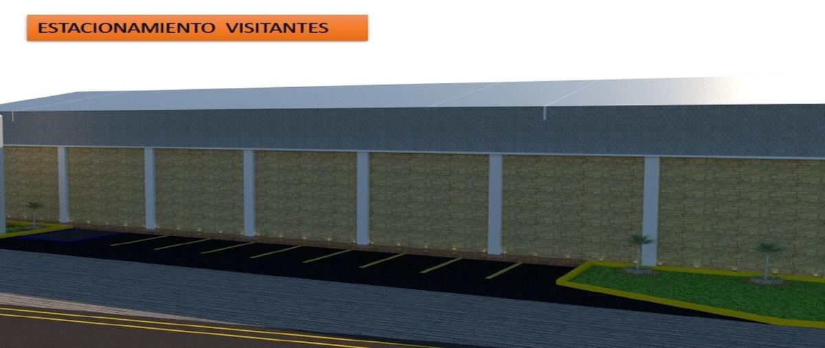 Foto de bodega en renta en carretera cardenas-vhsa kilometro 149+800 , plátano y cacao 2da. sección (la isla), centro, tabasco, 28602513 No. 04