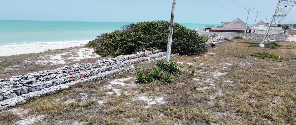 Foto de terreno habitacional en venta en carretera carmen puerto real , puerto real, carmen, campeche, 29507547 No. 03