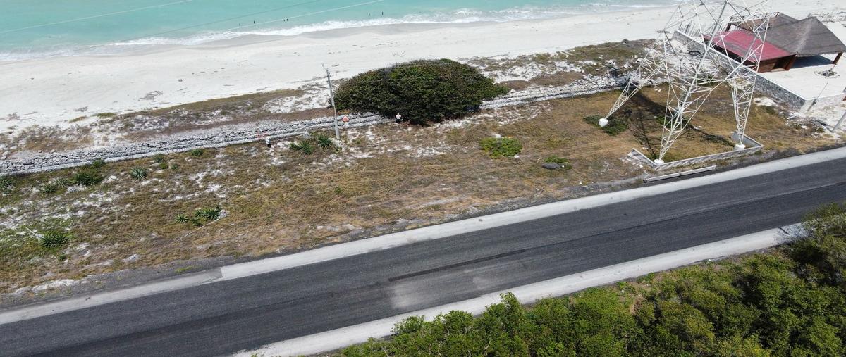 Foto de terreno habitacional en venta en carretera carmen puerto real , puerto real, carmen, campeche, 29507547 No. 04