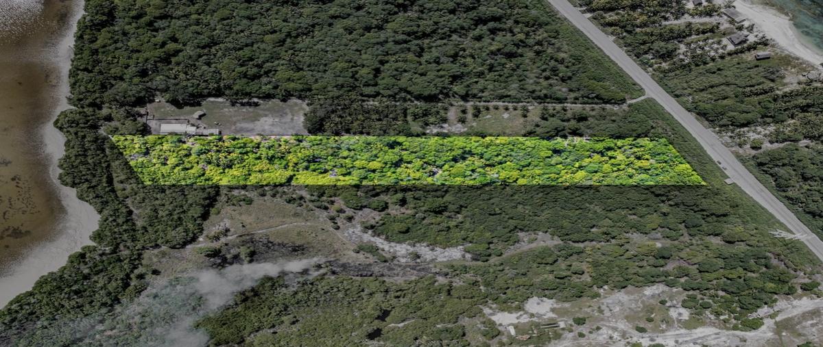 Foto de terreno habitacional en carretera carmen puerto real , puerto real, carmen, campeche, 0 foto 01 Foto de terreno habitacional en venta en carretera carmen puerto real , puerto real, carmen, campeche, 0 No. 01