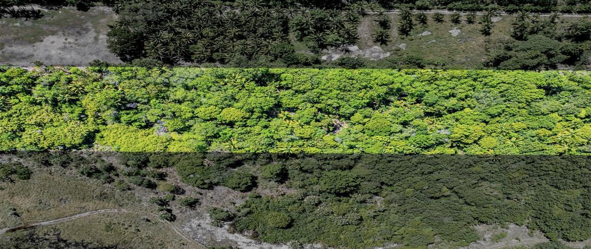 Foto de terreno habitacional en carretera carmen puerto real , puerto real, carmen, campeche, 0 foto 03 Foto de terreno habitacional en venta en carretera carmen puerto real , puerto real, carmen, campeche, 0 No. 03