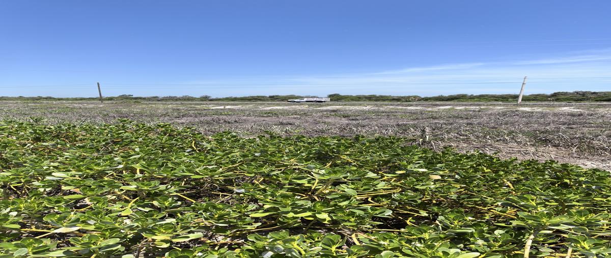 Foto de terreno habitacional en venta en carretera carmen-campeche kilometro 60 , sabancuy centro, carmen, campeche, 0 No. 04
