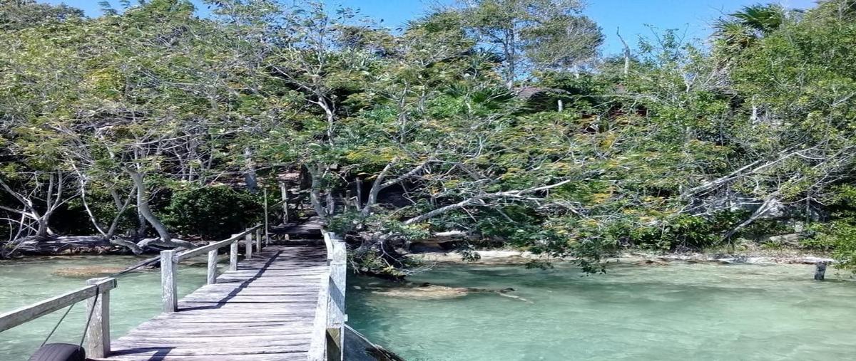 Foto de terreno habitacional en carretera carrillo puerto tulum , bacalar centro, bacalar, quintana roo, 26611291 foto 03 Foto de terreno habitacional en venta en carretera carrillo puerto tulum , bacalar centro, bacalar, quintana roo, 26611291 No. 03