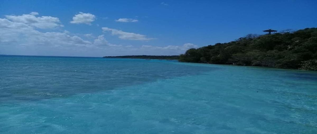 Foto de terreno habitacional en carretera carrillo puerto tulum , bacalar dos, bacalar, quintana roo, 26611291 foto 04 Foto de terreno habitacional en venta en carretera carrillo puerto tulum , bacalar dos, bacalar, quintana roo, 26611291 No. 04
