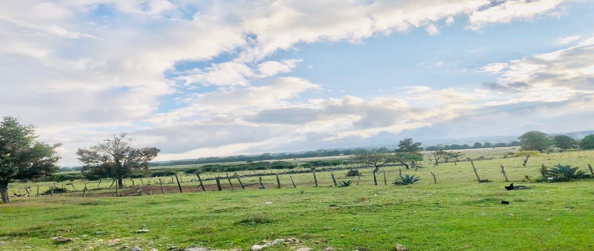 Foto de terreno habitacional en venta en carretera cash-tinajab , san josé yocnajab, comitán de domínguez, chiapas, 27307783 No. 04