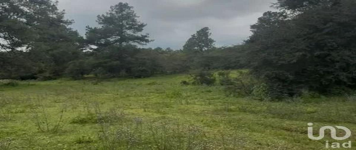 Foto de terreno habitacional en venta en carretera catarina , atemajac de brizuela, atemajac de brizuela, jalisco, 31069872 No. 03