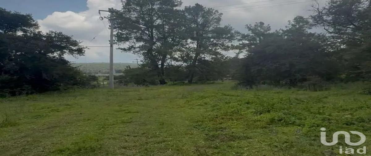 Foto de terreno habitacional en venta en carretera catarina , atemajac de brizuela, atemajac de brizuela, jalisco, 31069872 No. 04