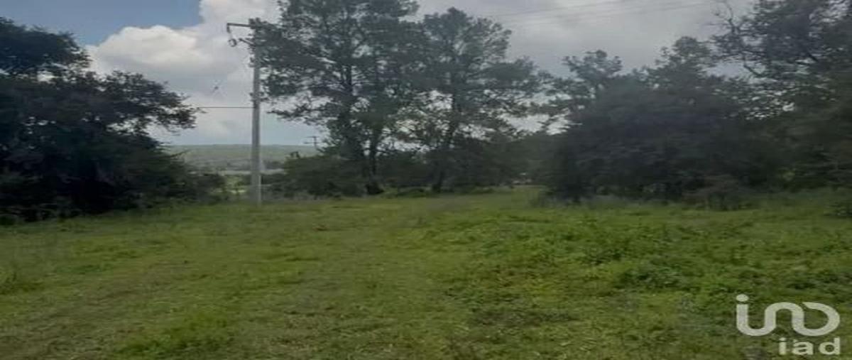 Foto de terreno habitacional en venta en carretera catarina , atemajac de brizuela, atemajac de brizuela, jalisco, 31069872 No. 05