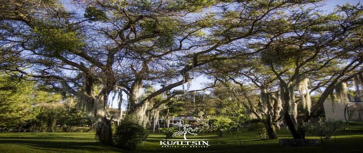 Foto de terreno habitacional en carretera catarina - atemajac de brizuela km27 , atemajac de brizuela, atemajac de brizuela, jalisco, 0 foto 02 Foto de terreno habitacional en venta en carretera catarina - atemajac de brizuela km27 , atemajac de brizuela, atemajac de brizuela, jalisco, 0 No. 02