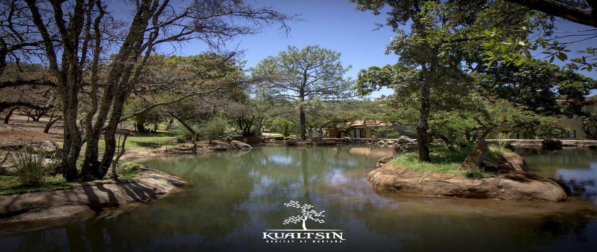 Foto de terreno habitacional en carretera catarina - atemajac de brizuela km27 , atemajac de brizuela, atemajac de brizuela, jalisco, 0 foto 03 Foto de terreno habitacional en venta en carretera catarina - atemajac de brizuela km27 , atemajac de brizuela, atemajac de brizuela, jalisco, 0 No. 03