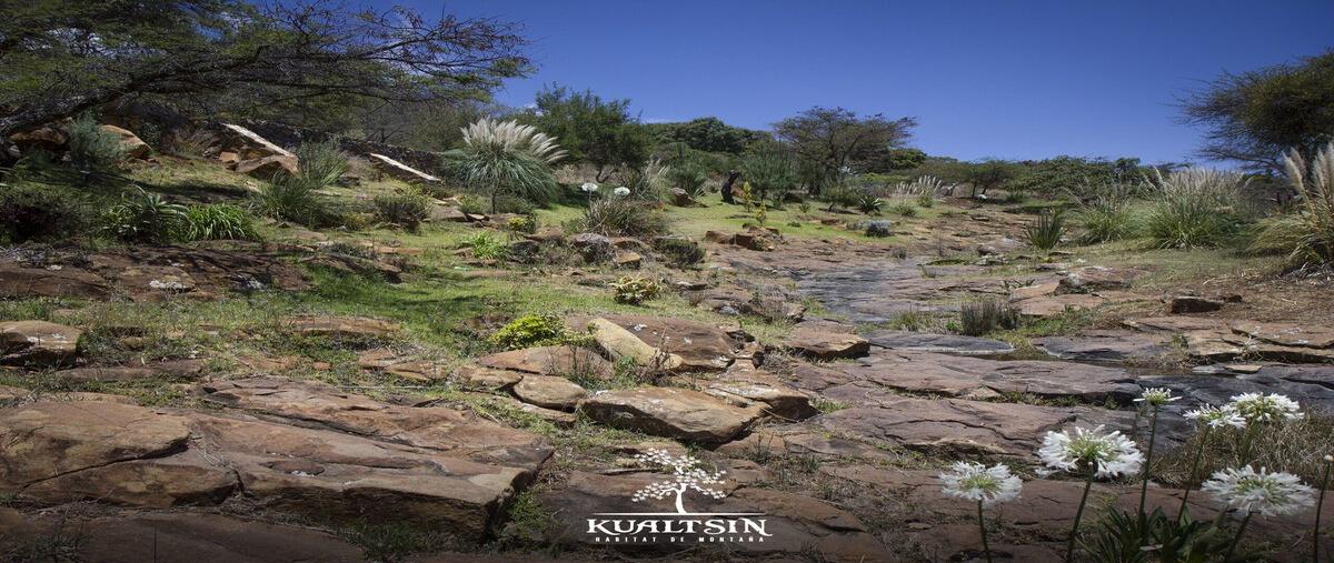 Foto de terreno habitacional en carretera catarina - atemajac de brizuela km27 , atemajac de brizuela, atemajac de brizuela, jalisco, 0 foto 05 Foto de terreno habitacional en venta en carretera catarina - atemajac de brizuela km27 , atemajac de brizuela, atemajac de brizuela, jalisco, 0 No. 05