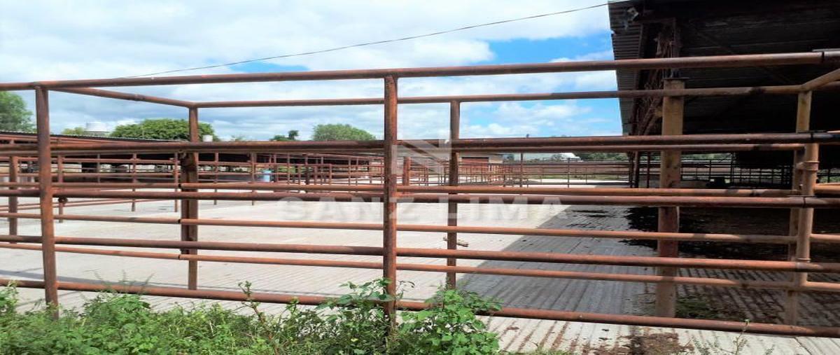 Foto de terreno habitacional en venta en carretera celaya-san miguel de allende , san isidro de la concepción, celaya, guanajuato, 17900547 No. 04