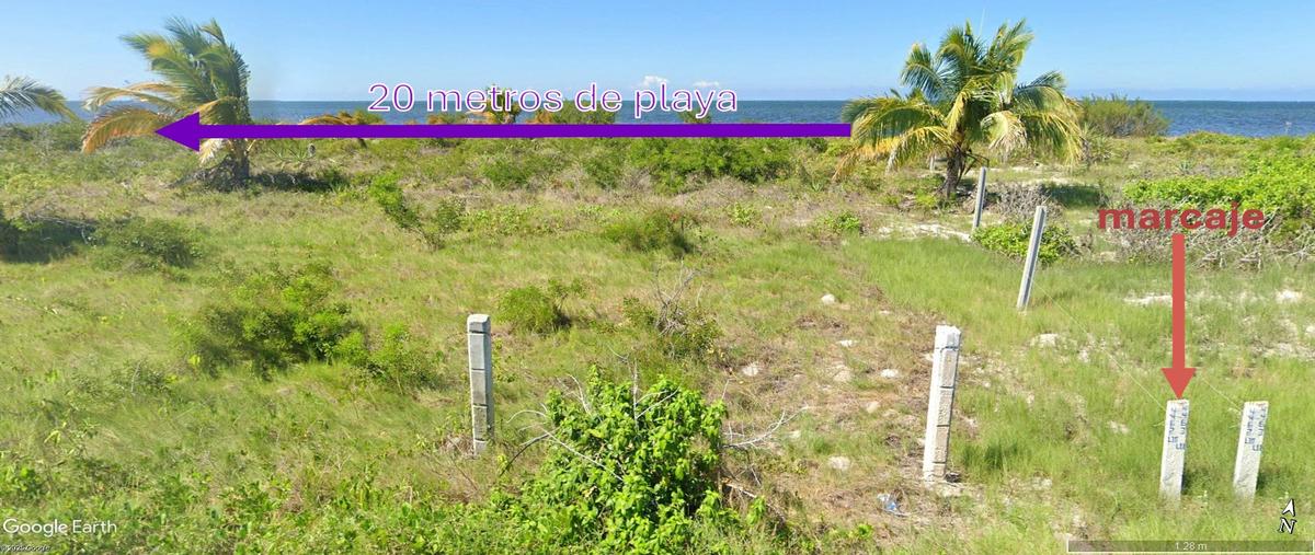 Foto de terreno habitacional en venta en carretera chabihau- santa clara , santa clara, dzidzantún, yucatán, 29537474 No. 03