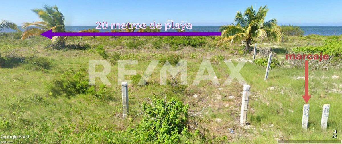 Foto de terreno habitacional en carretera chabihau- santa clara , santa clara, dzidzantún, yucatán, 0 foto 03 Foto de terreno habitacional en venta en carretera chabihau- santa clara , santa clara, dzidzantún, yucatán, 0 No. 03