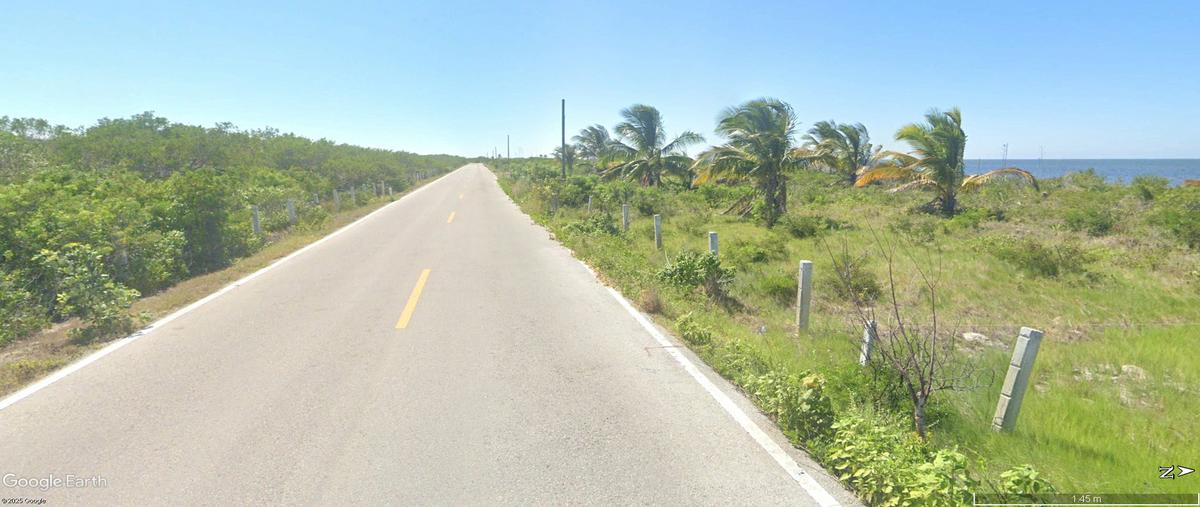 Foto de terreno habitacional en venta en carretera chabihau- santa clara , santa clara, dzidzantún, yucatán, 29537474 No. 04