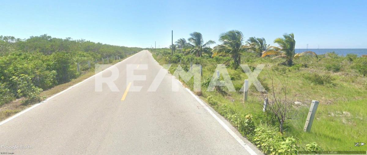 Foto de terreno habitacional en carretera chabihau- santa clara , santa clara, dzidzantún, yucatán, 0 foto 04 Foto de terreno habitacional en venta en carretera chabihau- santa clara , santa clara, dzidzantún, yucatán, 0 No. 04