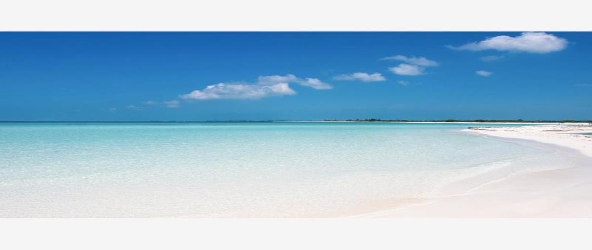 Foto de terreno comercial en carretera champoton a cerrada del carmen 0, champotón centro, champotón, campeche, 26198320 foto 02 Foto de terreno comercial en venta en carretera champoton a cerrada del carmen 0, champotón centro, champotón, campeche, 26198320 No. 02