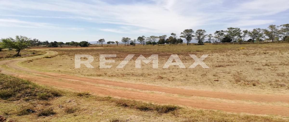 Foto de terreno comercial en carretera chapa de mota , ejido de jilotepec, jilotepec, méxico, 26239310 foto 01 Foto de terreno comercial en venta en carretera chapa de mota , ejido de jilotepec, jilotepec, méxico, 26239310 No. 01