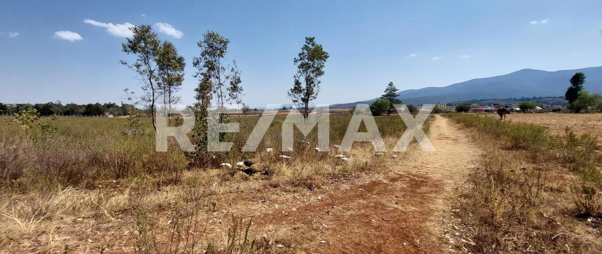 Foto de terreno comercial en carretera chapa de mota , ejido de jilotepec, jilotepec, méxico, 26239310 foto 02 Foto de terreno comercial en venta en carretera chapa de mota , ejido de jilotepec, jilotepec, méxico, 26239310 No. 02