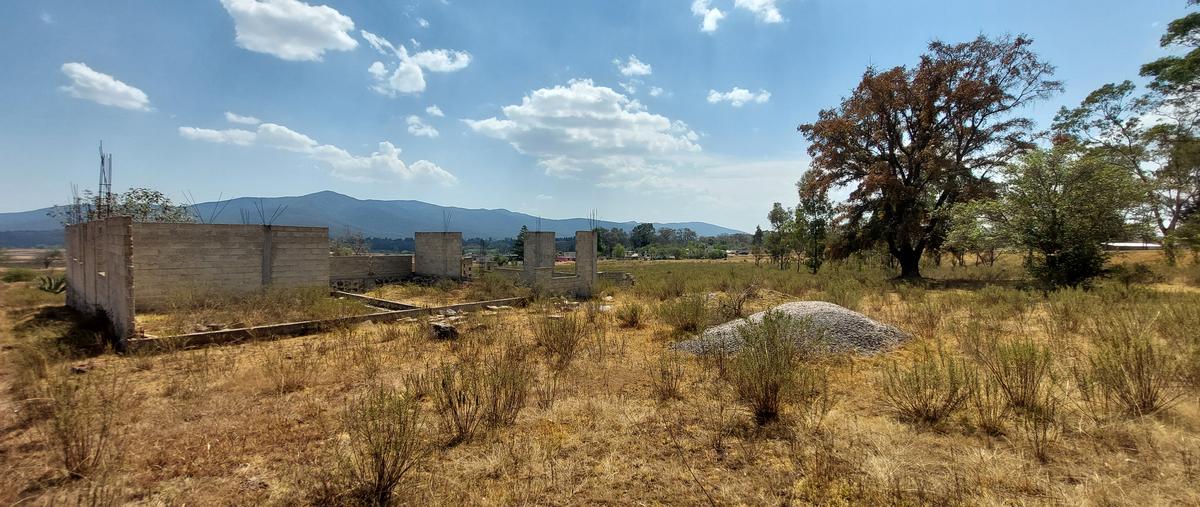 Foto de terreno comercial en venta en carretera chapa de mota , ejido de jilotepec, jilotepec, méxico, 26239310 No. 03
