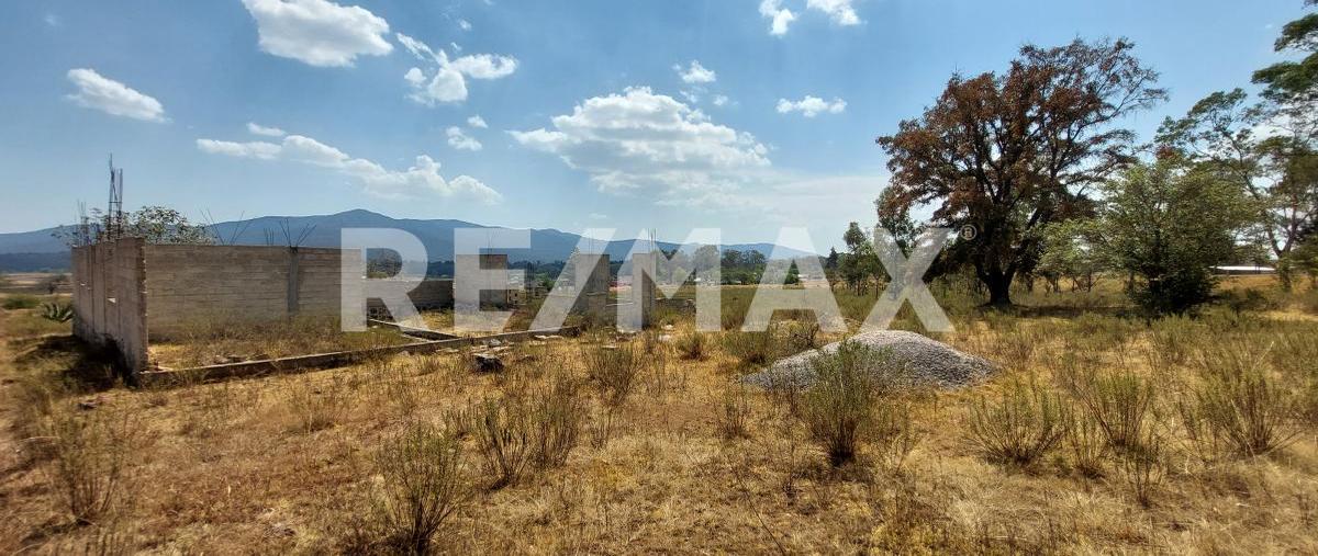 Foto de terreno comercial en carretera chapa de mota , ejido de jilotepec, jilotepec, méxico, 26239310 foto 03 Foto de terreno comercial en venta en carretera chapa de mota , ejido de jilotepec, jilotepec, méxico, 26239310 No. 03
