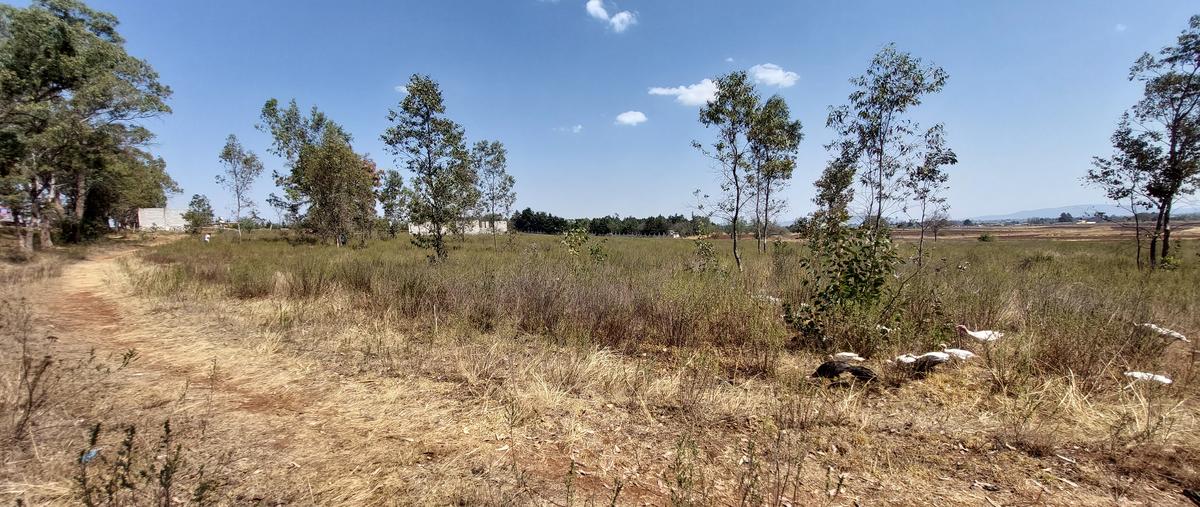 Foto de terreno comercial en venta en carretera chapa de mota , ejido de jilotepec, jilotepec, méxico, 26239310 No. 04