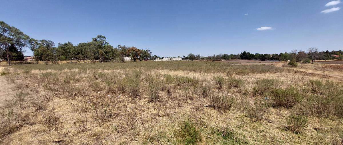 Foto de terreno comercial en venta en carretera chapa de mota , ejido de jilotepec, jilotepec, méxico, 26239310 No. 05