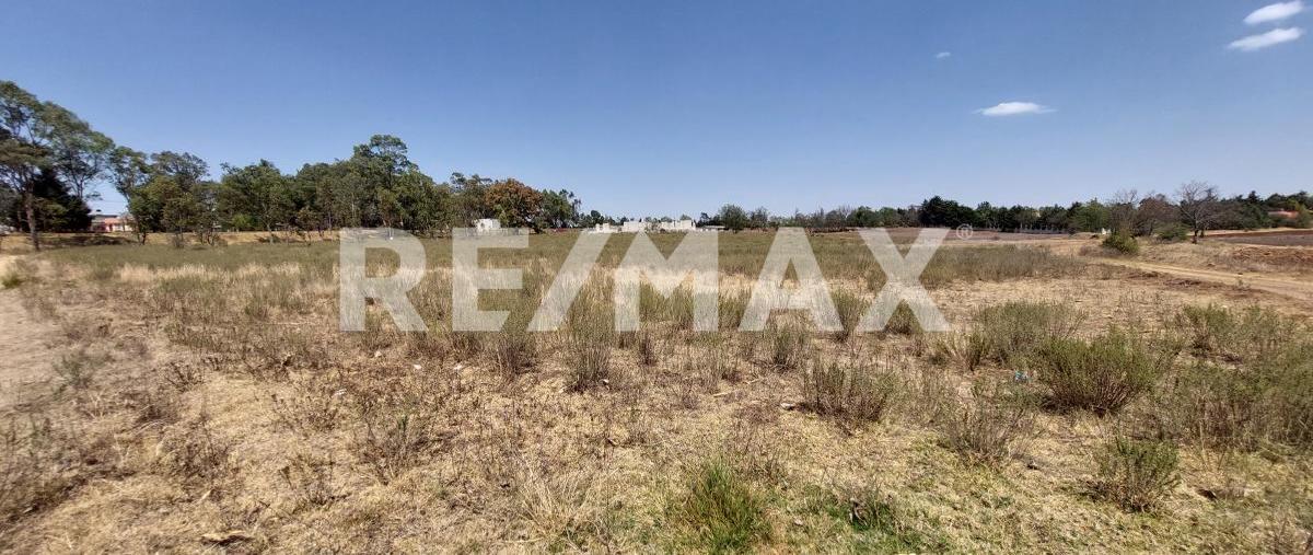 Foto de terreno comercial en carretera chapa de mota , ejido de jilotepec, jilotepec, méxico, 26239310 foto 05 Foto de terreno comercial en venta en carretera chapa de mota , ejido de jilotepec, jilotepec, méxico, 26239310 No. 05