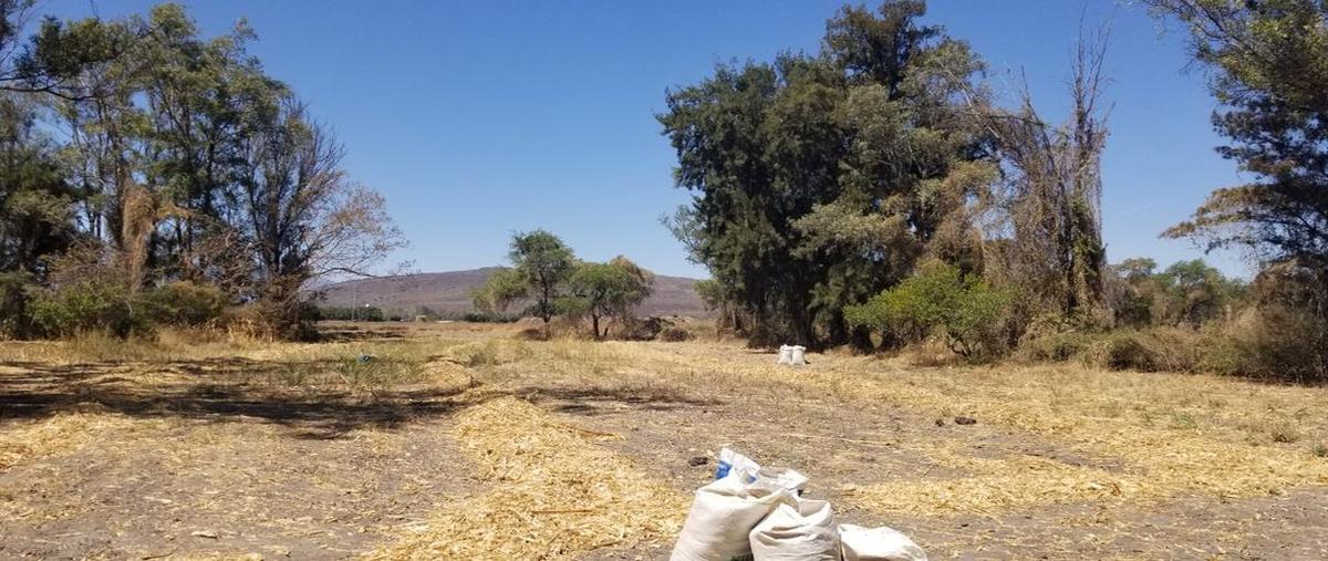 Foto de terreno habitacional en venta en carretera chapala esquina carretera ocotlán , balcones de la calera, ixtlahuacán de los membrillos, jalisco, 27242755 No. 02