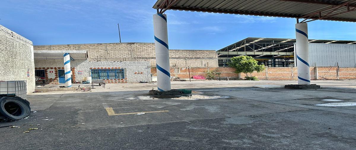 Foto de bodega en renta en carretera chapala guadalajara km23 , balcones de la calera, ixtlahuacán de los membrillos, jalisco, 26846409 No. 03