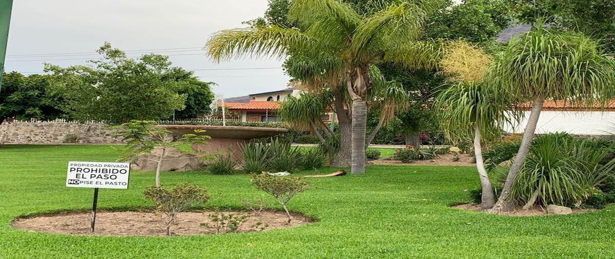 Foto de terreno comercial en carretera chapala jocotepec. 150m del libramiento a jocotepec , chantepec, jocotepec, jalisco, 0 foto 05 Foto de terreno comercial en venta en carretera chapala jocotepec. 150m del libramiento a jocotepec , chantepec, jocotepec, jalisco, 0 No. 05